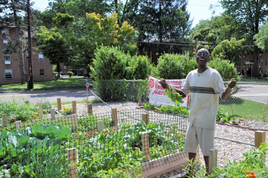 Community Gardens VINES