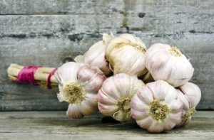 Garlic Picture