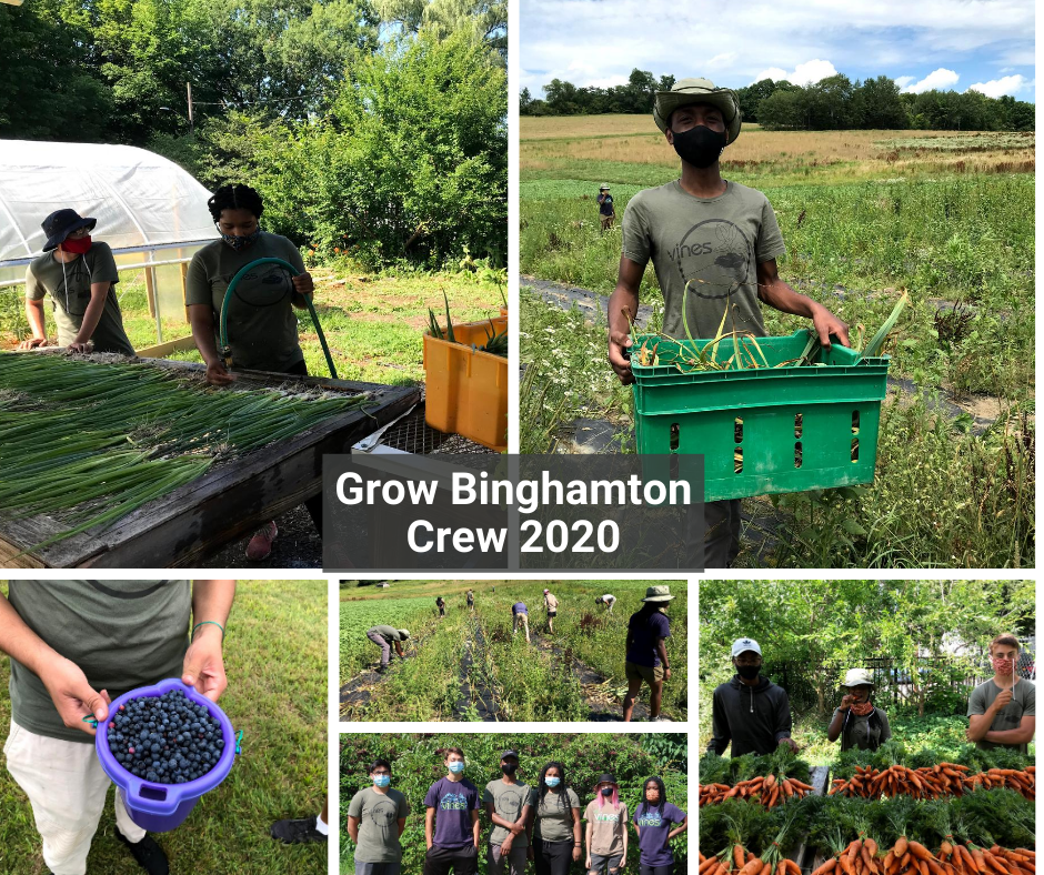 Highlights From Past Seasons VINES