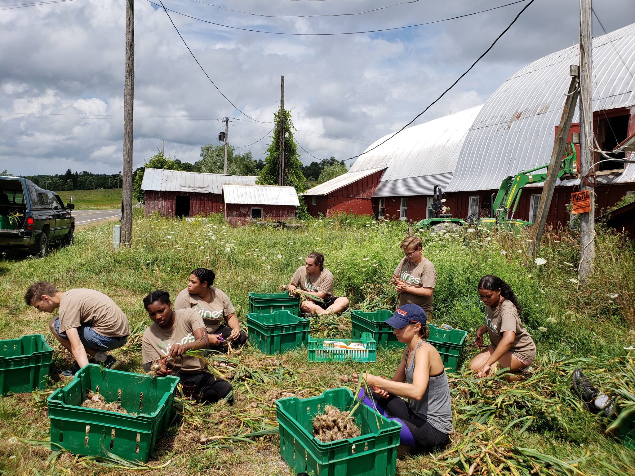 Grow Binghamton General Information VINES