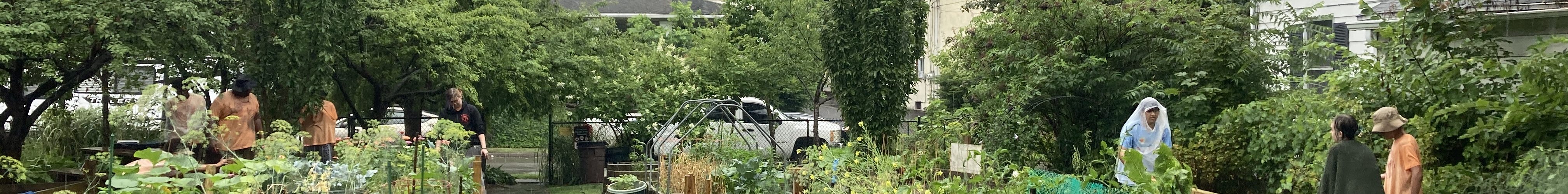 Sign Up For A Community Garden Plot Today!